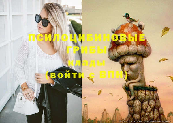 СК Вязники