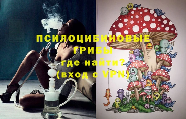 spice Вязьма